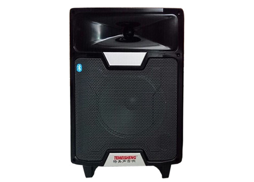 Loa Kéo Di Động Temeisheng A12-2 3 tấc