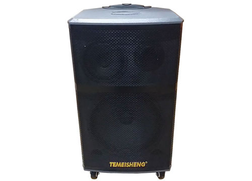 Loa kéo di động Temeisheng A171 - loa 3 đường tiếng, công suất 300W