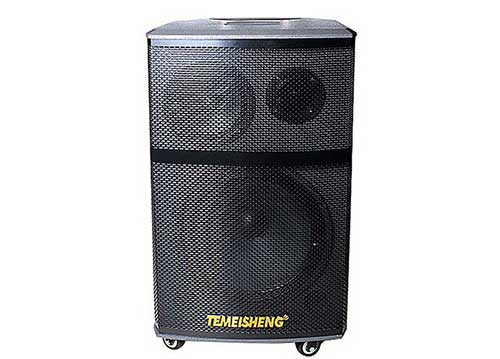 Loa kéo di động Temeisheng A171 - loa 3 đường tiếng, công suất 300W