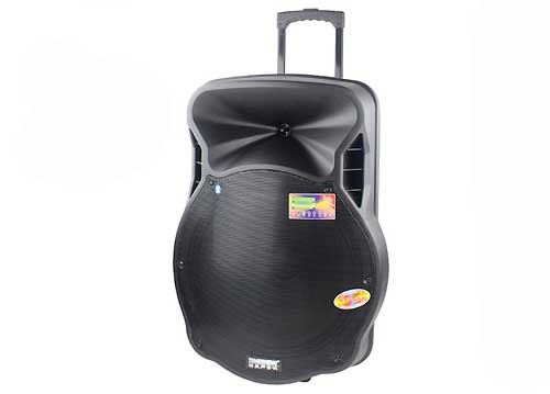 Loa Kéo Di Động Temeisheng A18-2