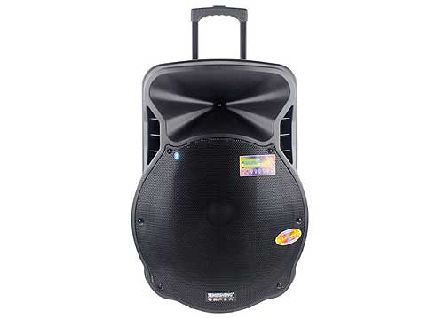 Loa Kéo Di Động Temeisheng A18-2F