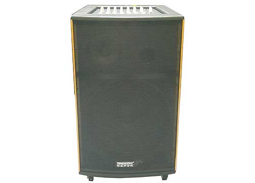 Loa Kéo Di Động Temeisheng A198