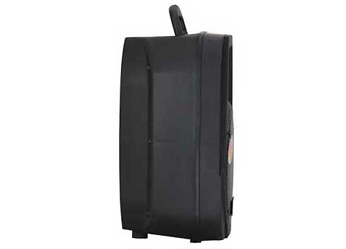 Loa Kéo Di Động Temeisheng A25