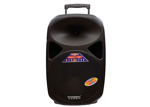 Loa kéo di động Temeisheng A28 3.5 tấc