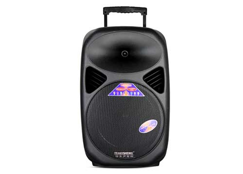 Loa kéo di động Temeisheng A28S, loa karaoke vỏ nhựa 3.5 tấc