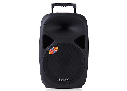 Loa kéo di động Temeisheng A29, loa karaoke vỏ nhựa 3.5 tấc