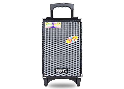 Loa Kéo Di Động Temeisheng A8-2