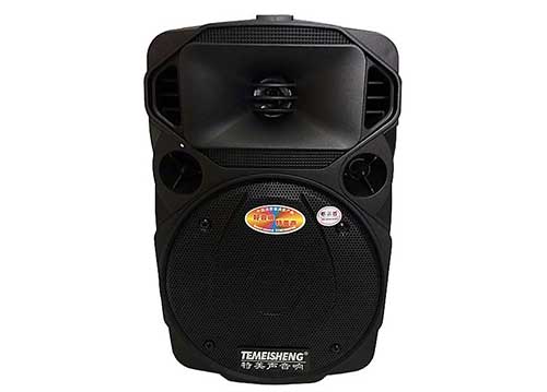 Loa kéo di động Temeisheng A8-21 