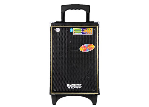 Loa Kéo Di Động Temeisheng A8-5