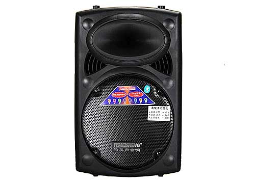 Loa Kéo Di Động Temeisheng DP-107