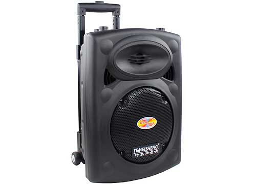 Loa Kéo Di Động Temeisheng DP-131L 2,5 Tấc