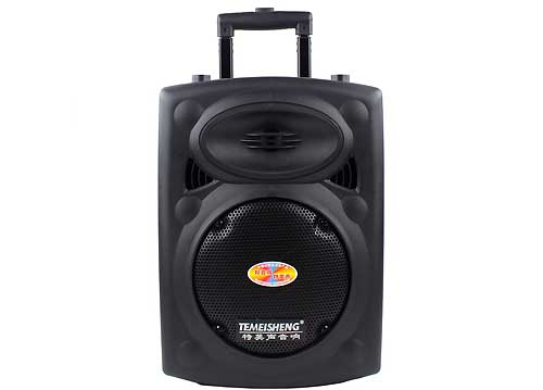 Loa Kéo Di Động Temeisheng DP-131L 2,5 Tấc