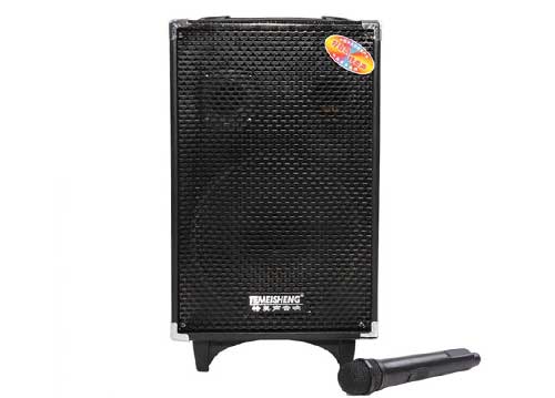 Loa Kéo Di Động Temeisheng DP-191 3 Tấc