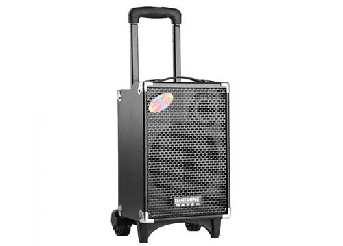 Loa Kéo Di Động Temeisheng DP-191 3 Tấc