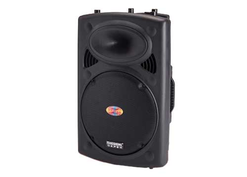 Loa Kéo Di Động Temeisheng DP-2305F 4 Tấc