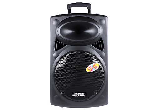 Loa Kéo Di Động Temeisheng DP-2305T 