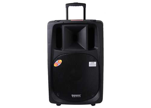 Loa kéo di động Temeisheng DP-2398T 12 nút