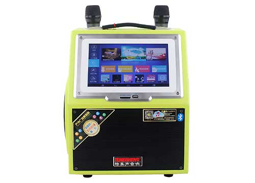 Loa Kéo Di Động Temeisheng GD08-04