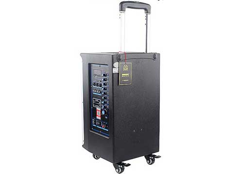 Loa Kéo Di Động Temeisheng GD10-02 3 Tấc