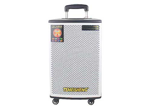 Loa Kéo Di Động Temeisheng GD10-02 3 Tấc