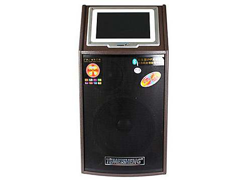 Loa Kéo Di Động Temeisheng GD10-04