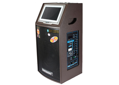 Loa Kéo Di Động Temeisheng GD10-04