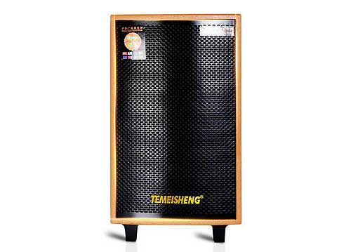 Loa Kéo Di Động Temeisheng GD12-01 4 Tấc