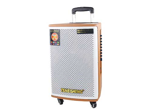 Loa Kéo Di Động Temeisheng GD12-02