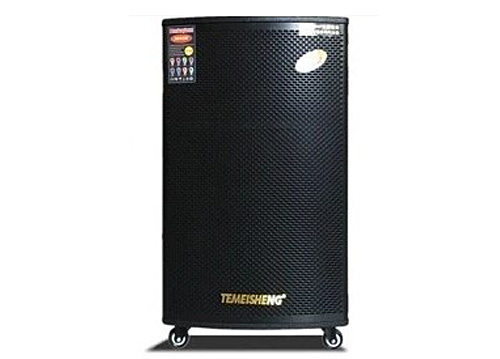 Loa Kéo Di Động Temeisheng GD15-05