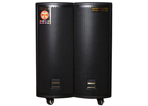 Loa Kéo Di Động Temeisheng GD15-06