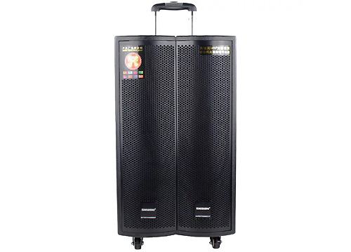 Loa Kéo Di Động Temeisheng GD15-07