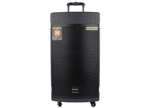 Loa Kéo Di Động Temeisheng GD1508, công suất max 700W