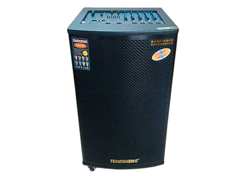 Loa kéo di động Temeisheng GD15-22 5 tấc