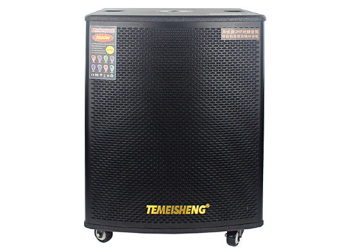 Loa Kéo Di Động Temeisheng GD18-03 - 6 Tấc