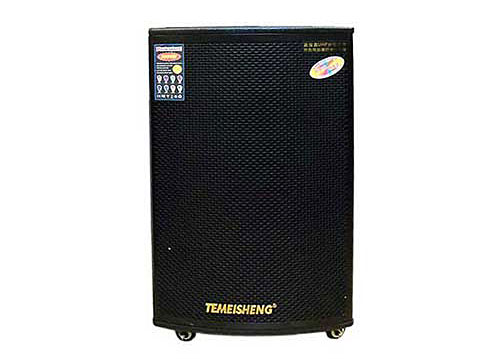 Loa Kéo Di Động Temeisheng Pro-668