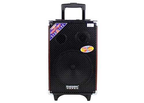 Loa Kéo Di Động Temeisheng Q8S