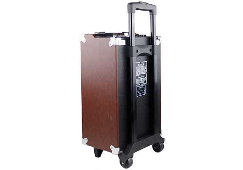 Loa Kéo Di Động Temeisheng Q8S