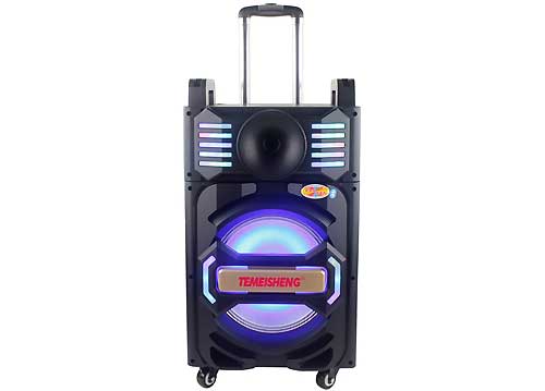 Loa Kéo Di Động Temeisheng QX-1012