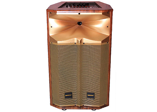 Loa kéo di động Temeisheng QX-1218 gold