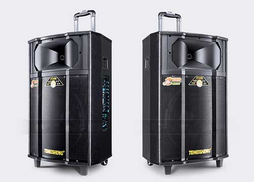 Loa Kéo Di Động Temeisheng QX-1509 4.5 Tấc