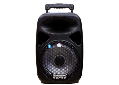 Loa Kéo Di Động Temeisheng Sl-08 2,5 Tấc