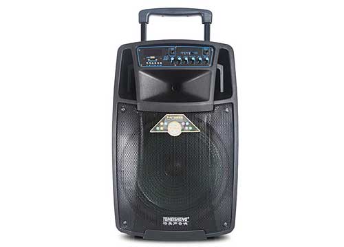 Loa Kéo Di Động Temeisheng SL12-01