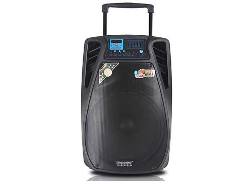 Loa Kéo Di Động Temeisheng SL15-02