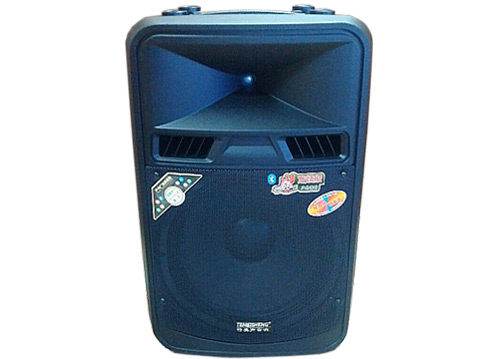 Loa Kéo Di Động Temeisheng SL15-08 5 Tấc