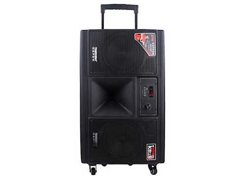 Loa kéo di động Temeisheng SL208-08 4 tấc