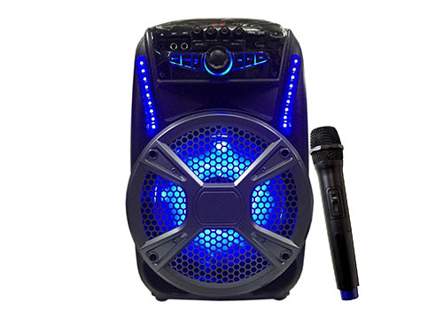 Loa kéo di động V15  2.5 tấc