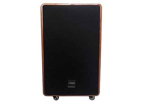 Loa kéo Sansui SG10-12, loa karaoke cao cấp, bass 3 tấc
