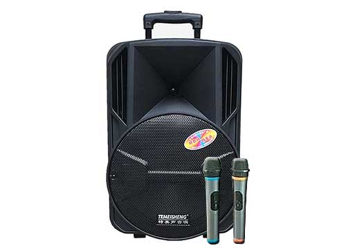 Loa kéo Temeisheng A12-65, bass 3 tấc, công suất tối đa 350W