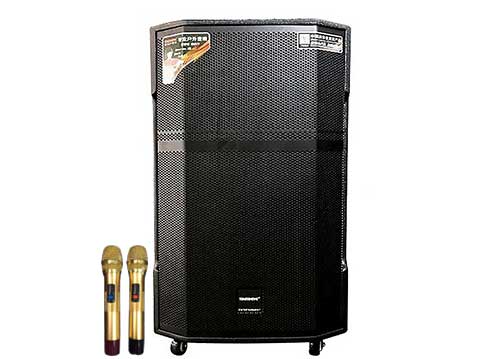 Loa kéo Temeisheng GD15-25, loa di động karaoke có mixer - 600W