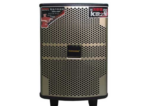 Loa kéo Temeisheng QX-0820, loa gỗ 2.5 tấc, karaoke cực hay